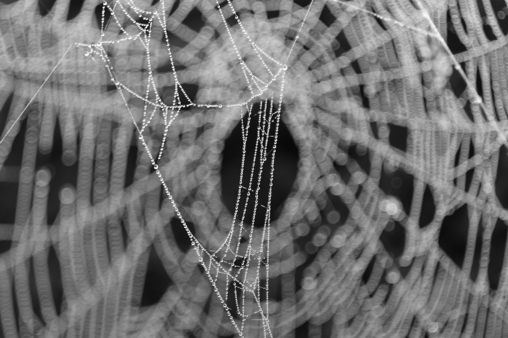 Interlaced